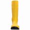 Third-party producer | NORA safety boot S5 FO SR