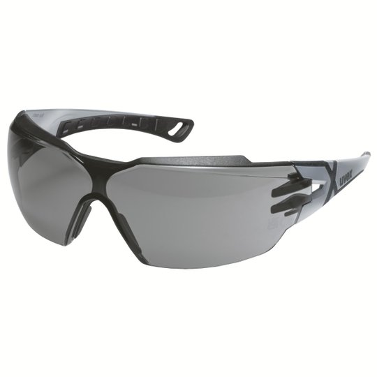 Protection des yeux | Lunettes à branches uvex pheos cx2
