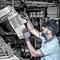 Safety gloves | uvex phynomic allround