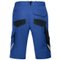 Protective clothing and workwear | Bermuda shorts — uvex suXXeed industry