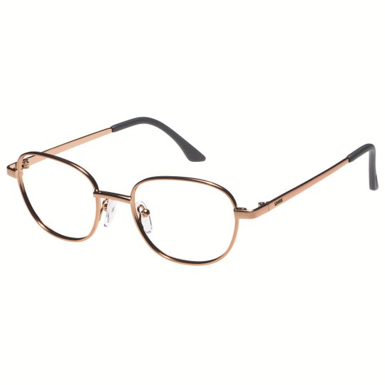 Lunettes de protection à la vue | Monture de lunettes pour écran uvex RX 3119