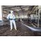 Safety gloves | uvex rubiflex S XG35B chemical protection glove