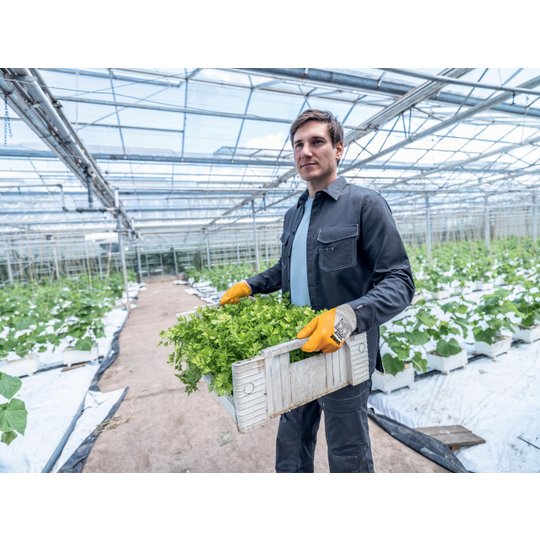 Schutzbekleidung und Workwear | Cargohose men uvex suXXeed greencycle planet