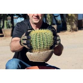 Gants de protection | Gant anti-épines HexArmor® ThornArmor® 3092