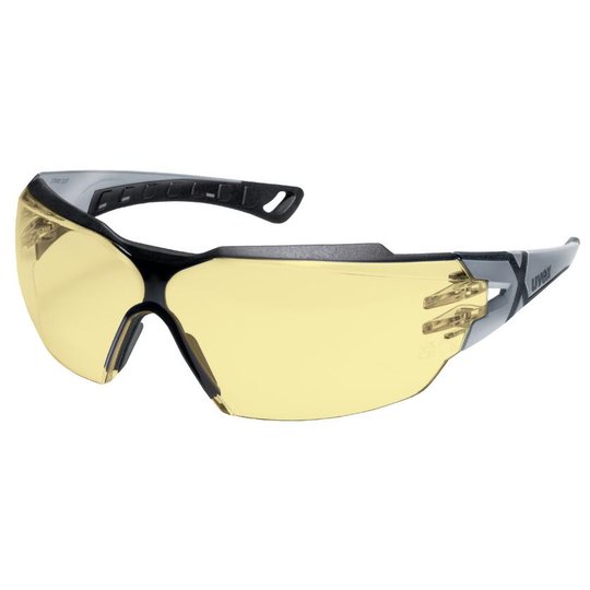 Lunettes à branches uvex pheos cx2