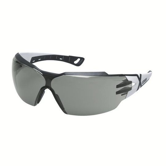 uvex pheos cx2 spectacles