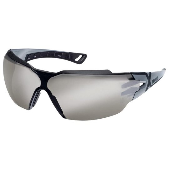 Lunettes à branches uvex pheos cx2