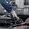 Safety gloves | uvex unidur 6659 foam