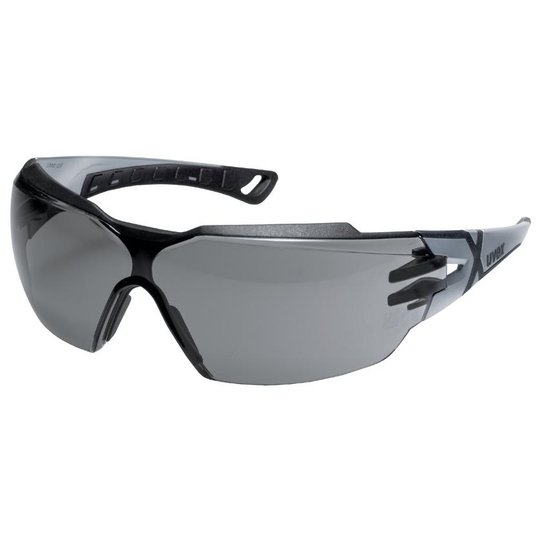 Lunettes à branches uvex pheos cx2