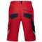 Protective clothing and workwear | Bermuda shorts — uvex suXXeed industry