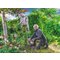 Guanti protettivi | Guanto da giardinaggio HexArmor® ThornArmor® 3092