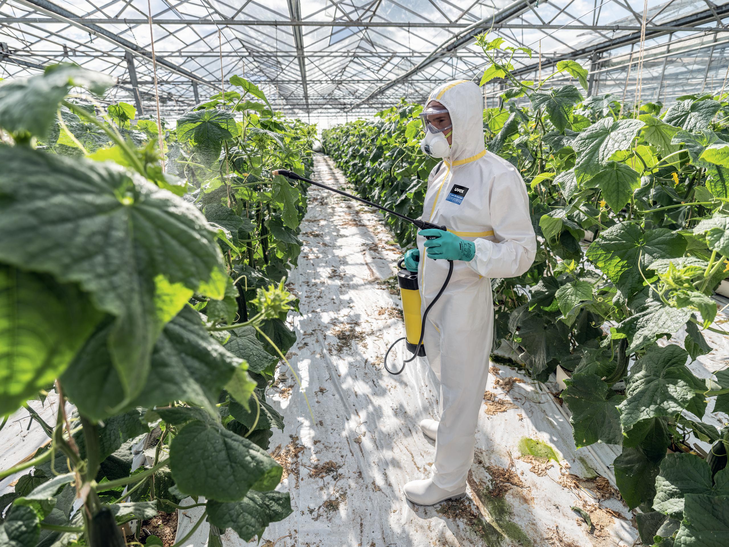 Safety gloves | uvex profastrong NF33 chemical protection glove