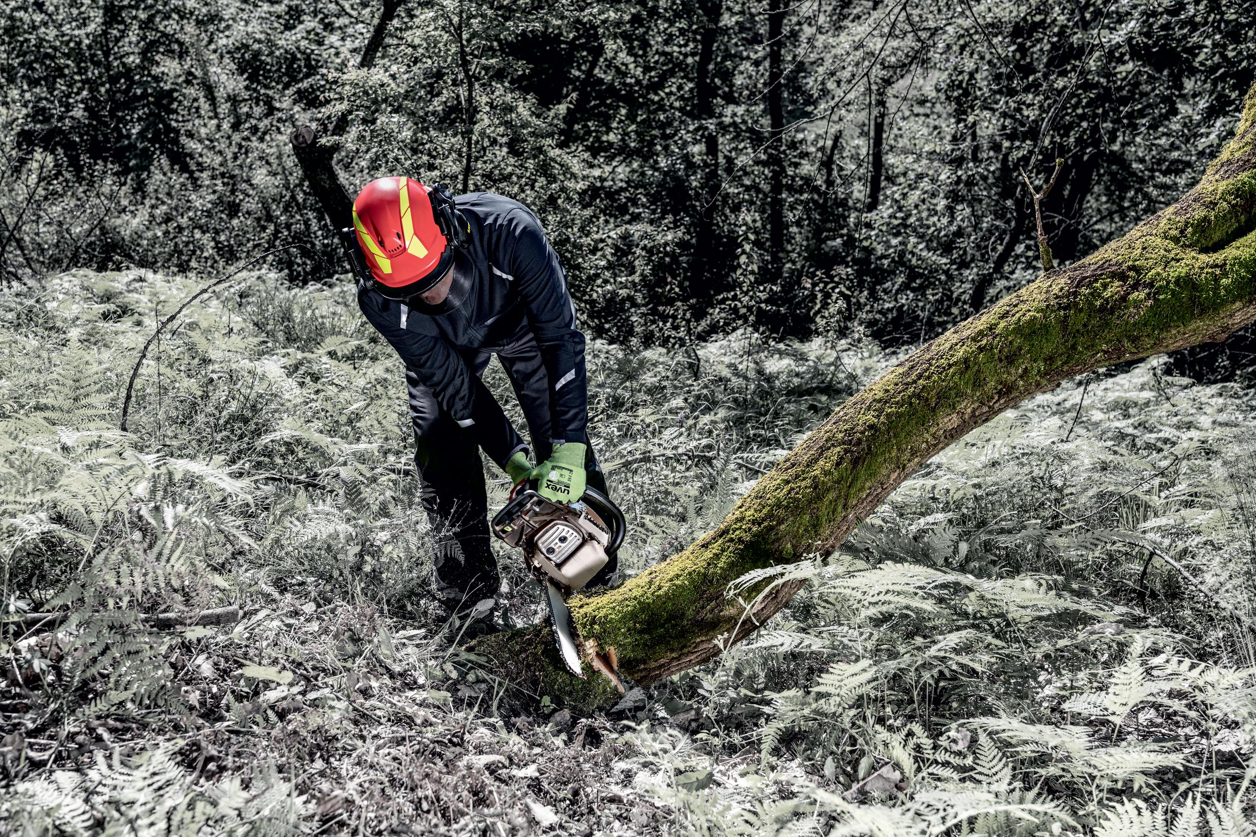 Safety gloves | uvex D500 foam cut protection glove