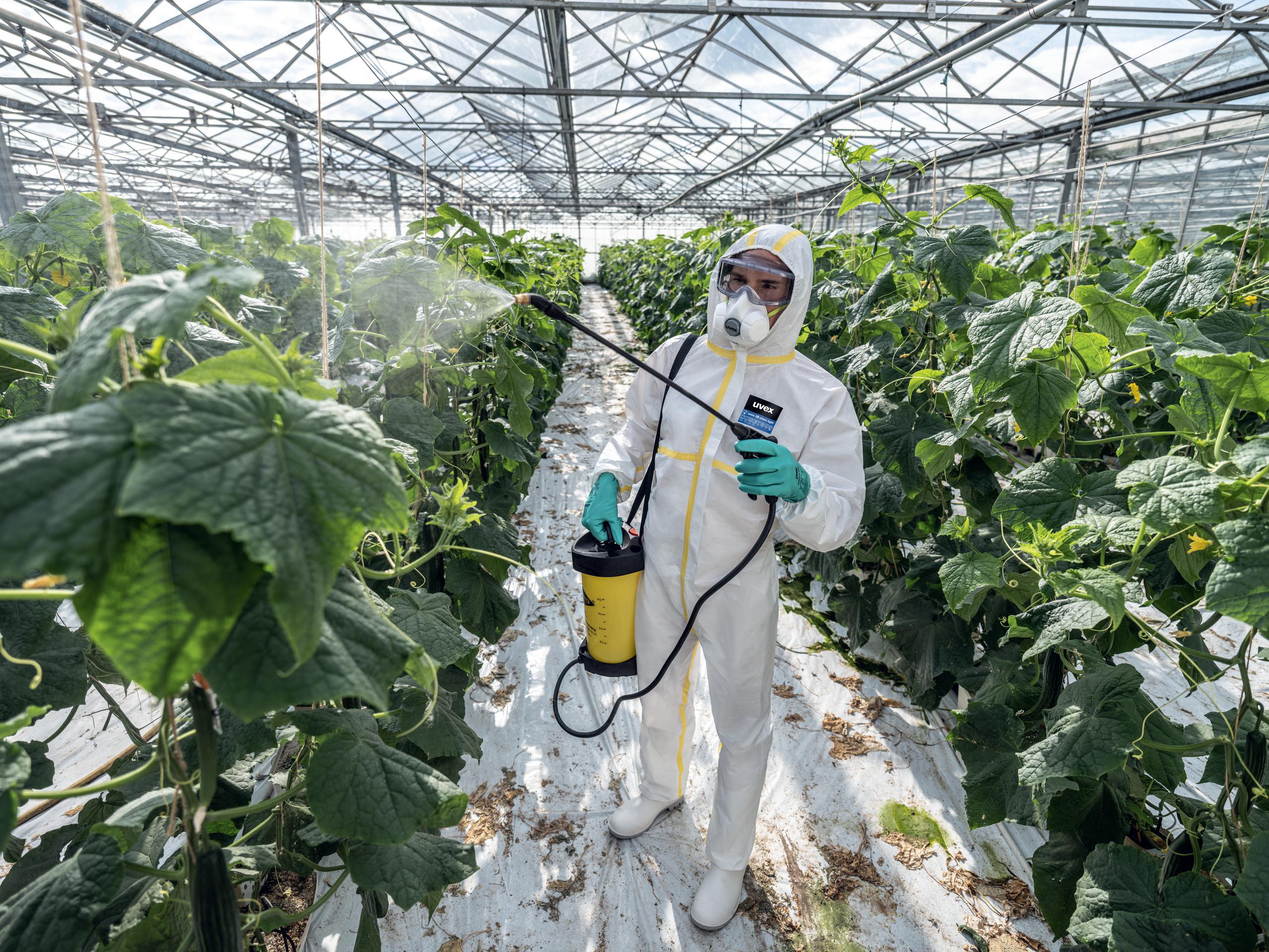 Safety gloves | uvex profastrong NF33 chemical protection glove