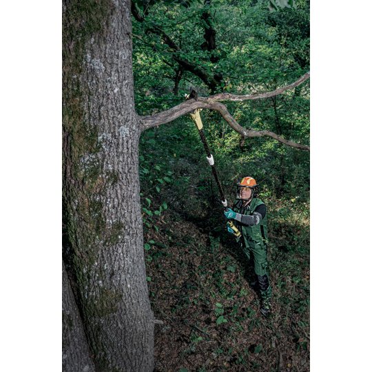 Safety helmets | uvex pheos forestry