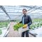 Schutzbekleidung und Workwear | Cargohose men uvex suXXeed greencycle planet